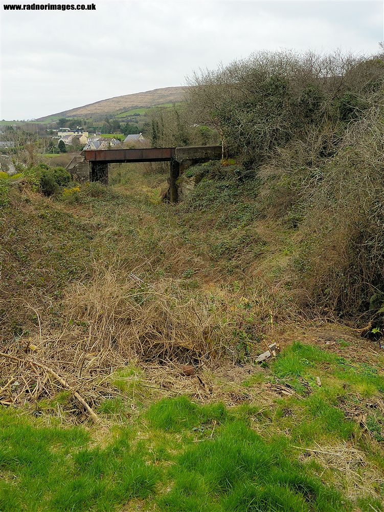 Cork, Bandon and South Coast Railway