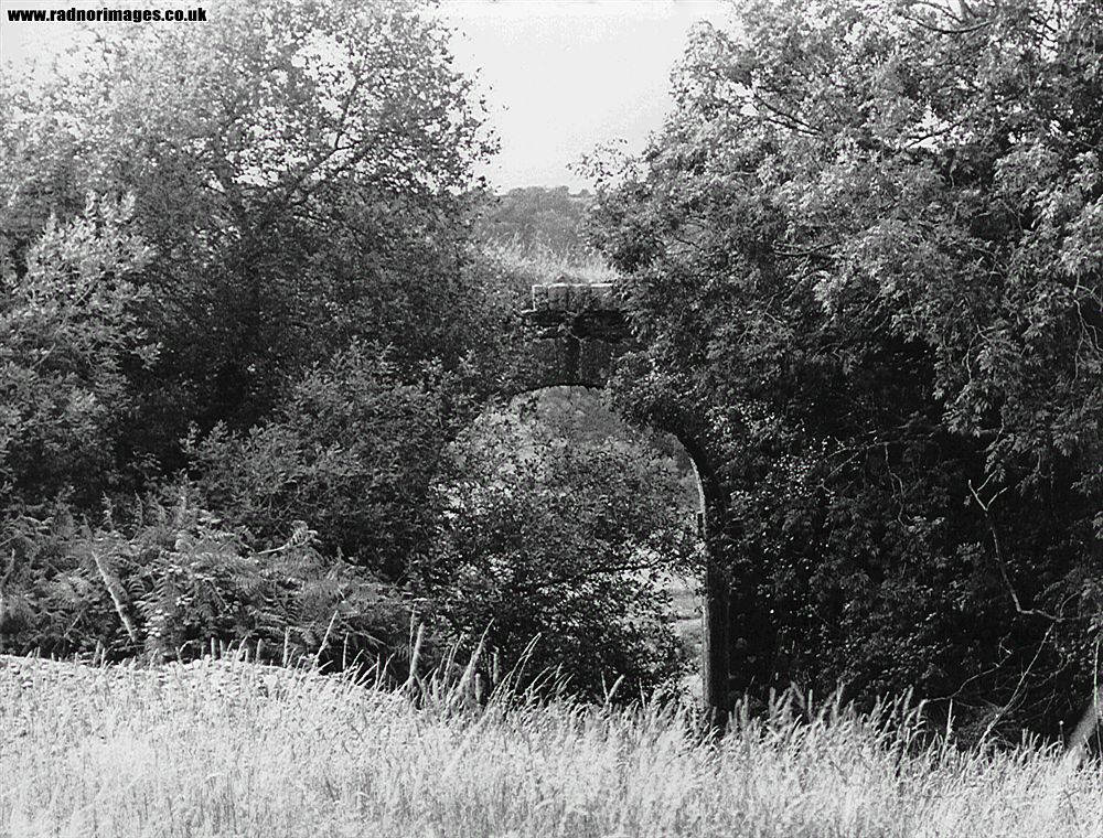 Cork, Bandon and South Coast Railway