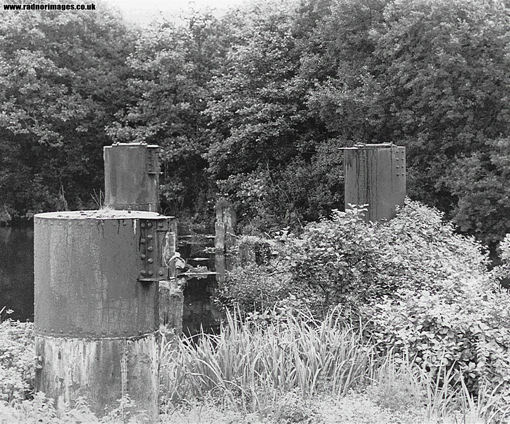 Cork, Bandon and South Coast Railway