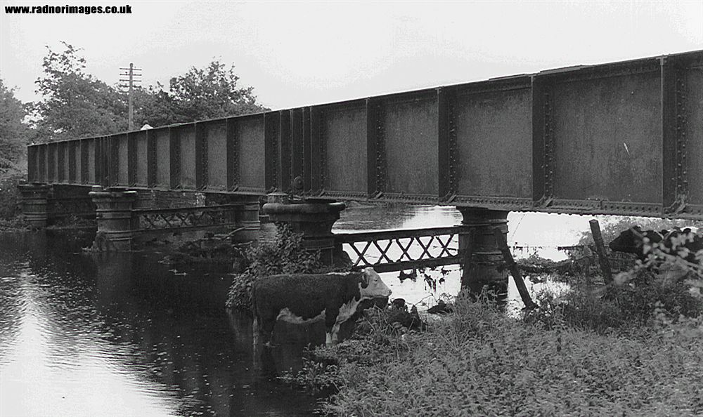 Cork, Bandon and South Coast Railway