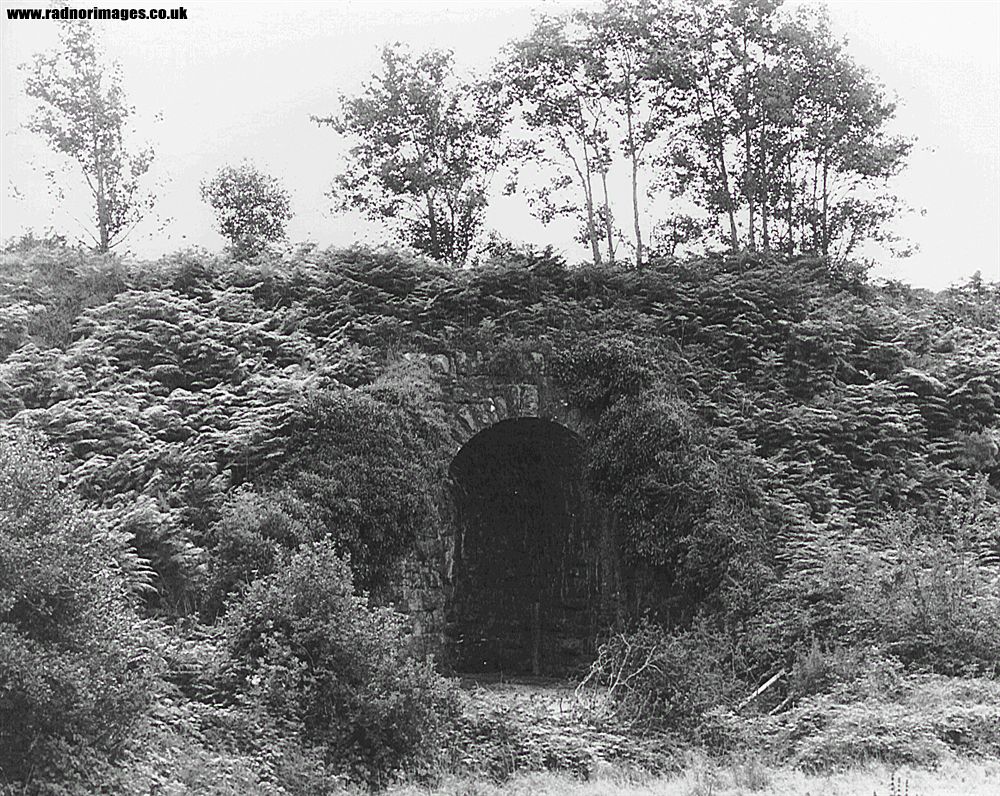 Cork, Bandon and South Coast Railway