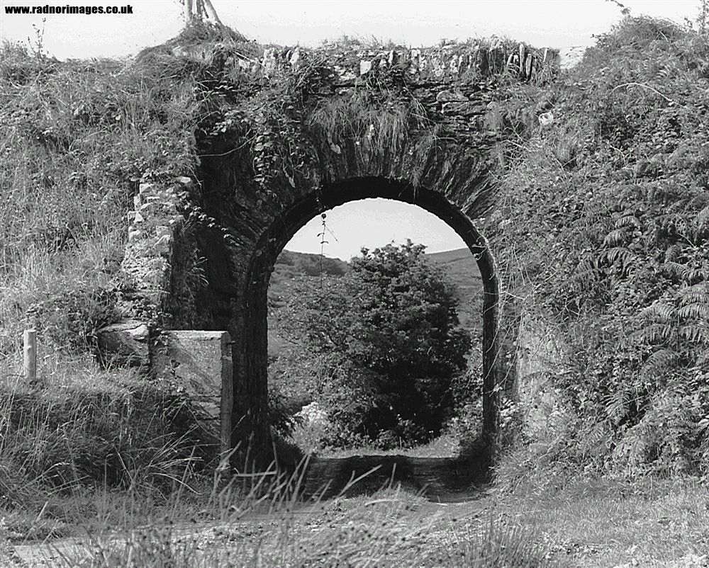 Cork, Bandon and South Coast Railway