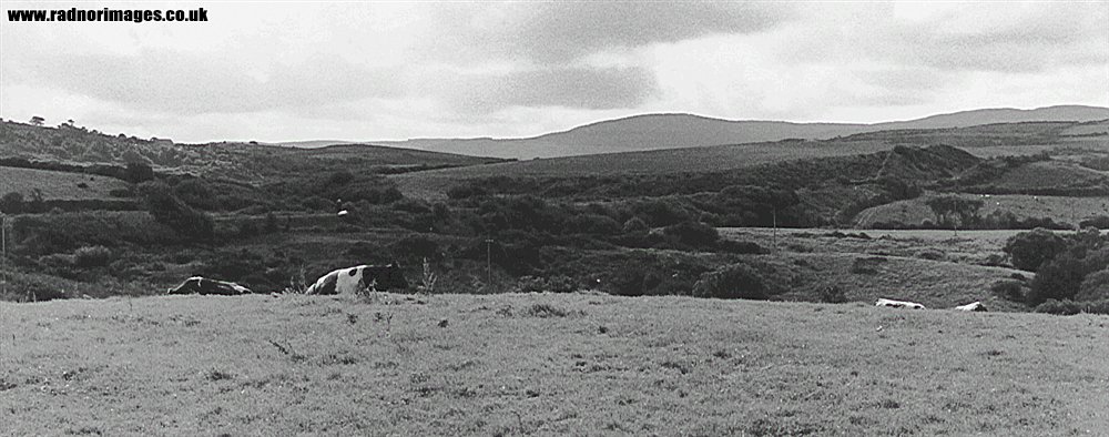 Cork, Bandon and South Coast Railway