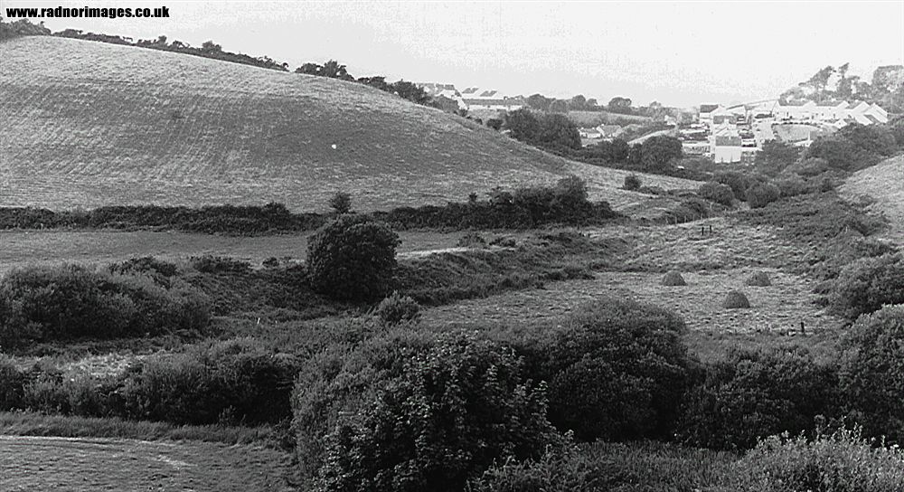 Cork, Bandon and South Coast Railway
