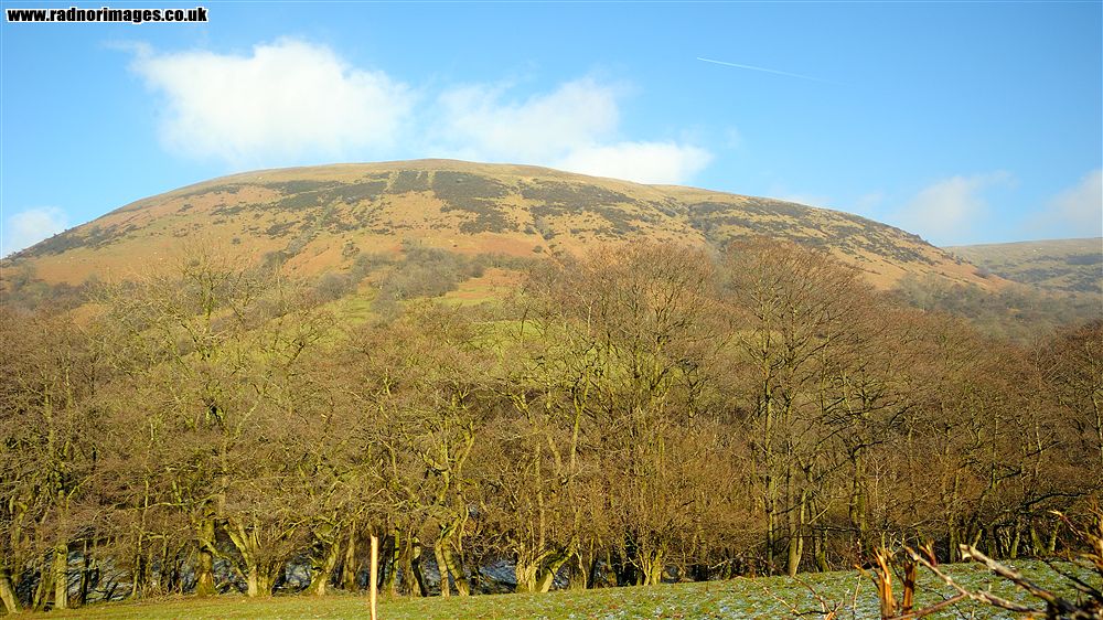 Dyffryn Ewias