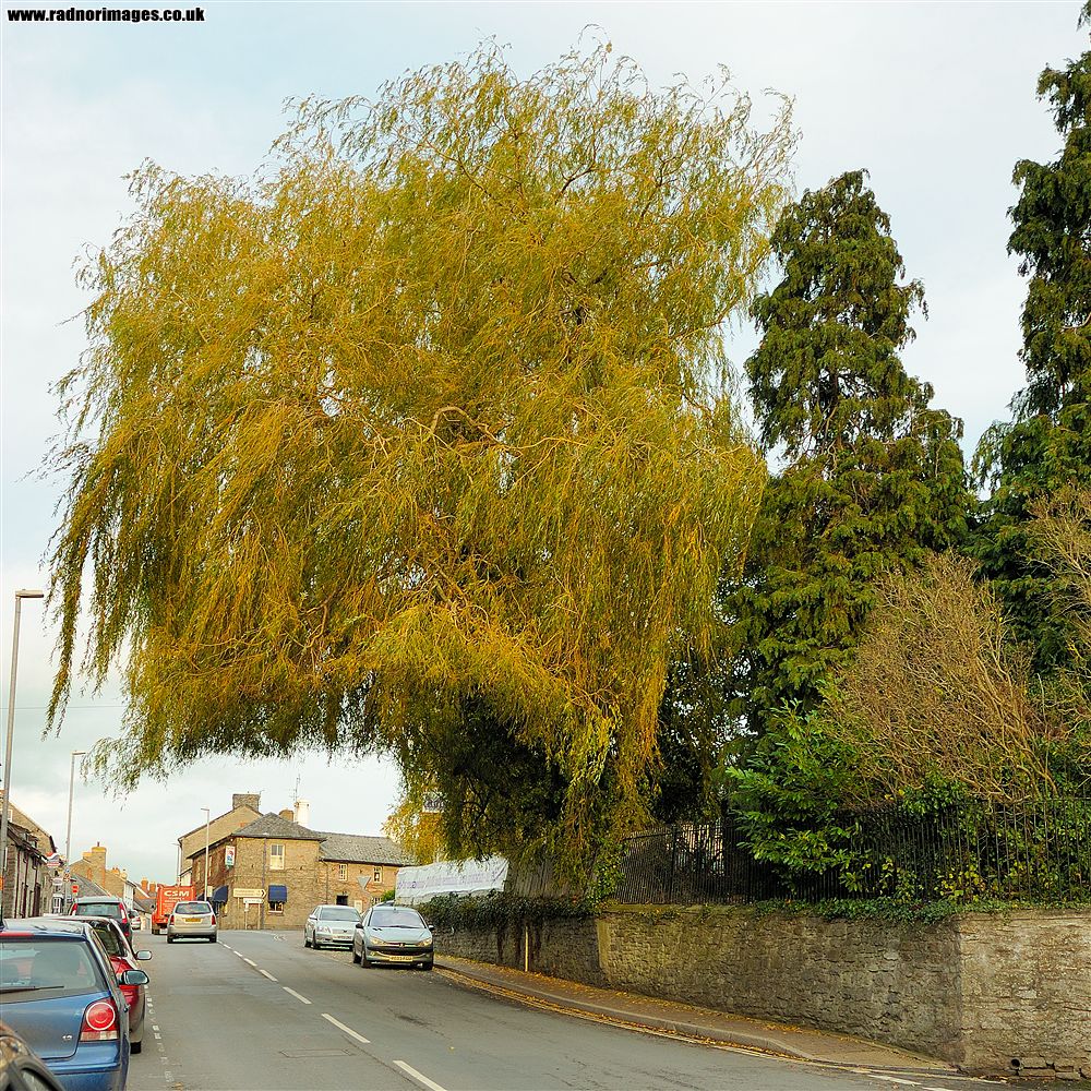 Hay on Wye