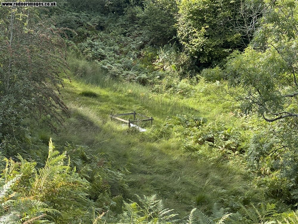 Henallt Common