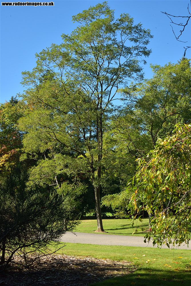 John F Kennedy Arboretum