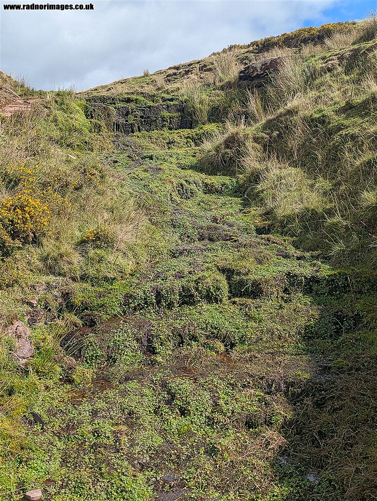 Middle Epynt Common