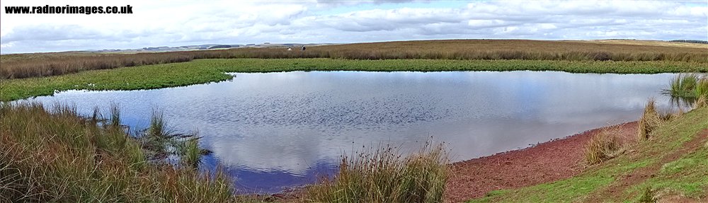 Middle Epynt Common