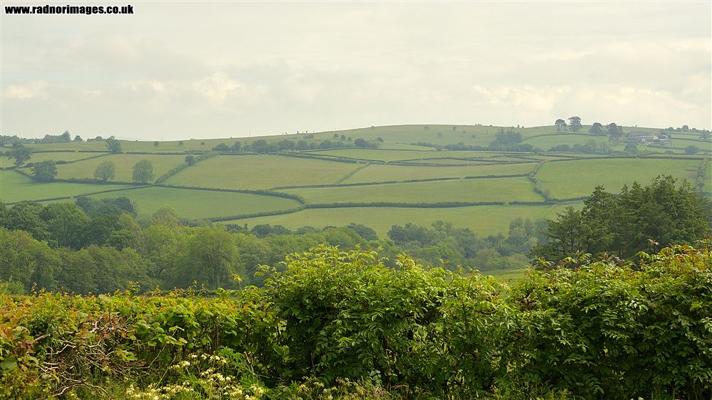 Nant Dulas