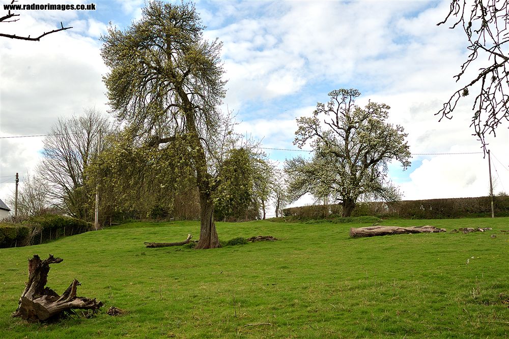 River Usk
