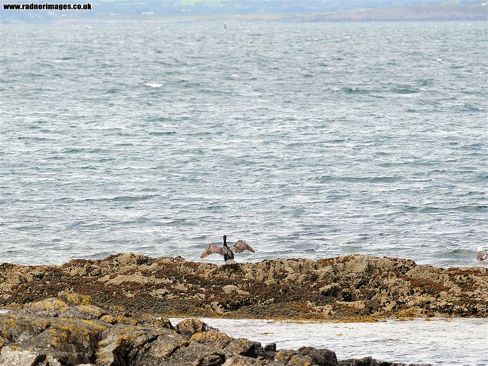 Sheep's Head Peninsula