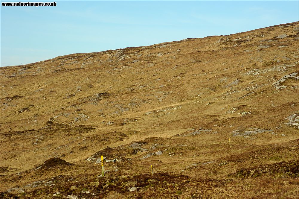 Sheep's Head Peninsula