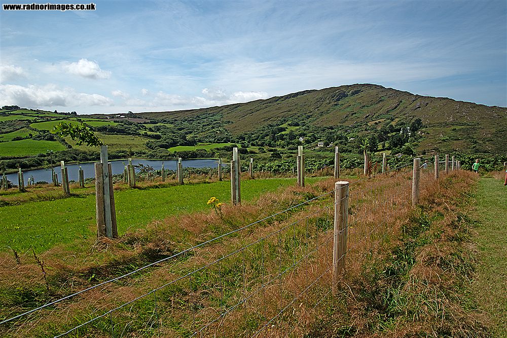 Sheep's Head Peninsula