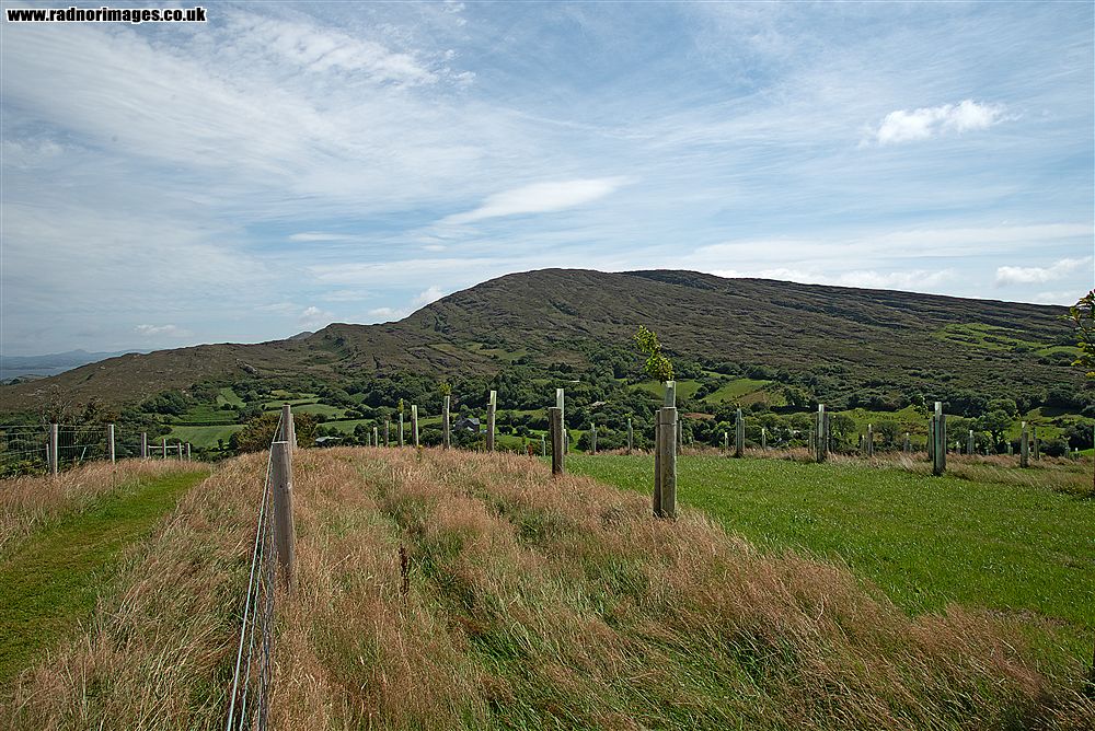 Sheep's Head Peninsula
