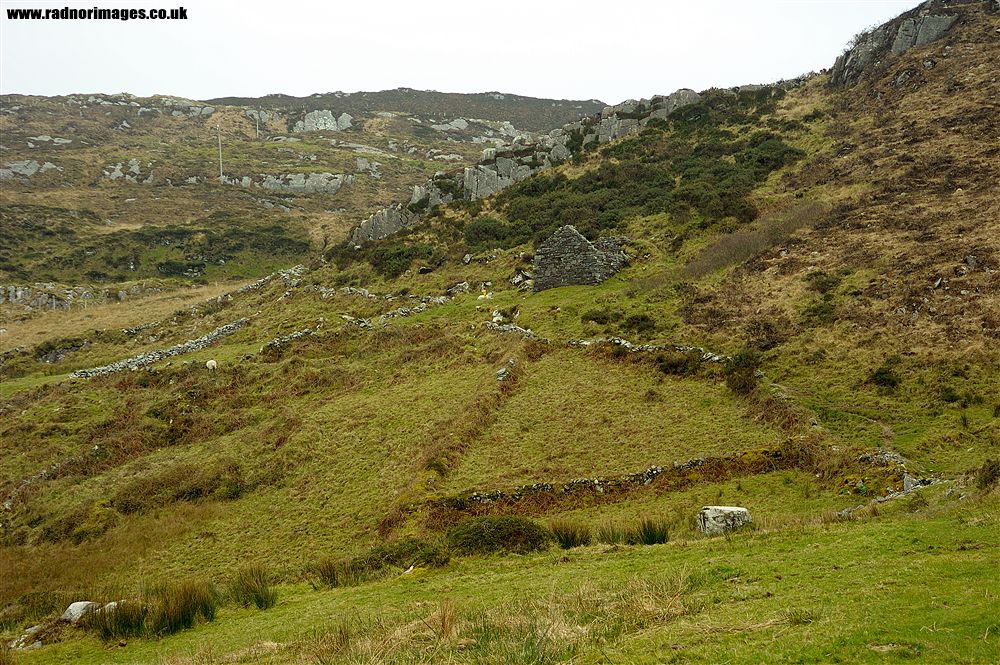 Sheep's Head Peninsula