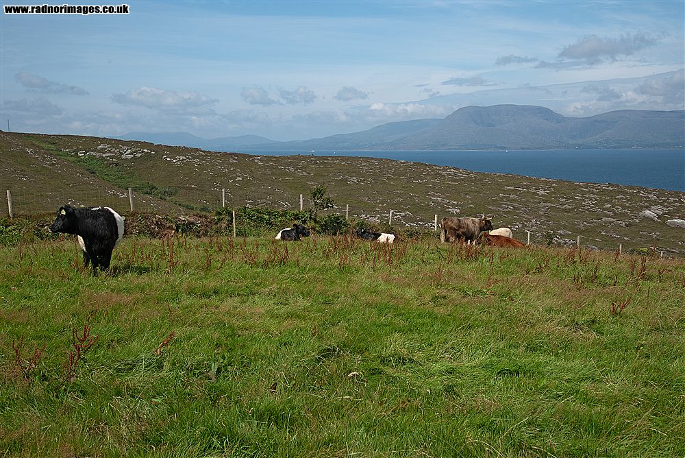 Sheep's Head Peninsula
