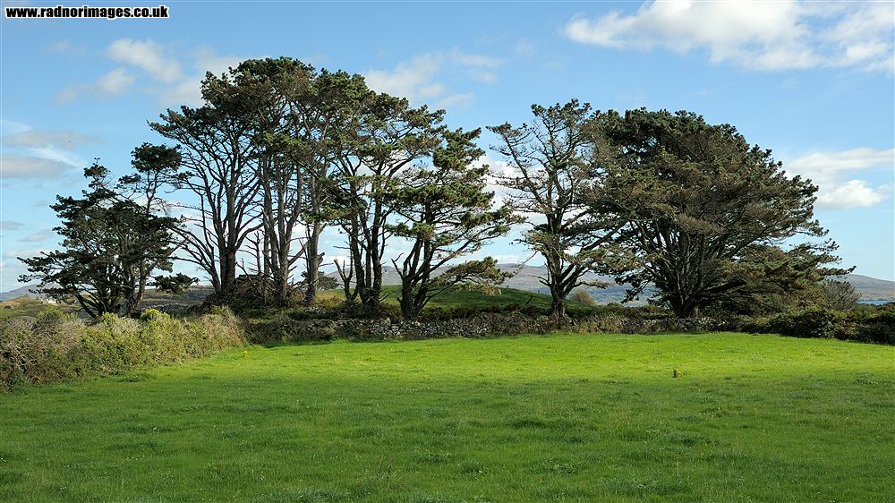 Sheep's Head Peninsula