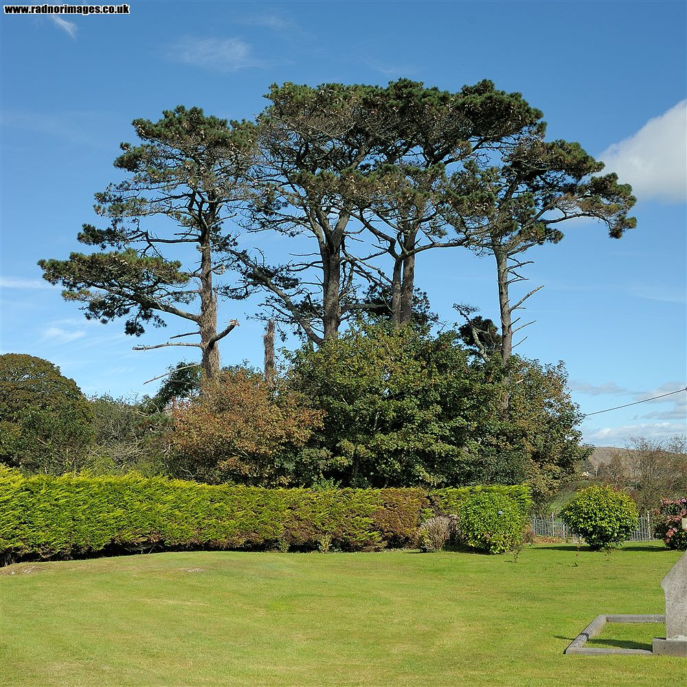 Sheep's Head Peninsula