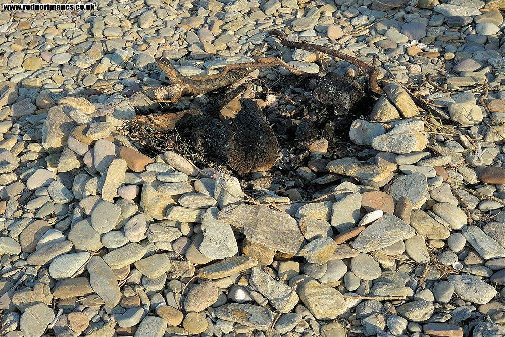 Sheep's Head Peninsula