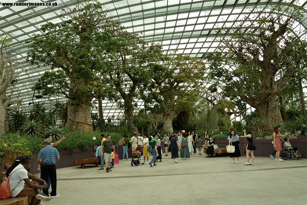 Singapore City