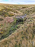 Middle Epynt Common