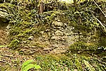 Pwll yr Wrach Reserve