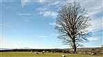 Brechfa Common